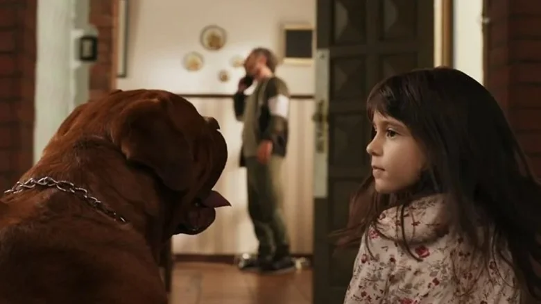 معرفی 15 فیلم ترسناکی که آنقدر آزاردهندهاند که فقط یکبار میتوان تماشایشان کرد 16 آنگاه که شیطان کمین میکند - فلاتو