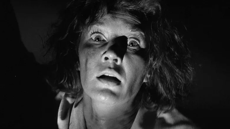 معرفی 10 فیلم ترسناک برتر «خانه جن زده» در تاریخ سینما 4 Haunted House Horror Movie 3