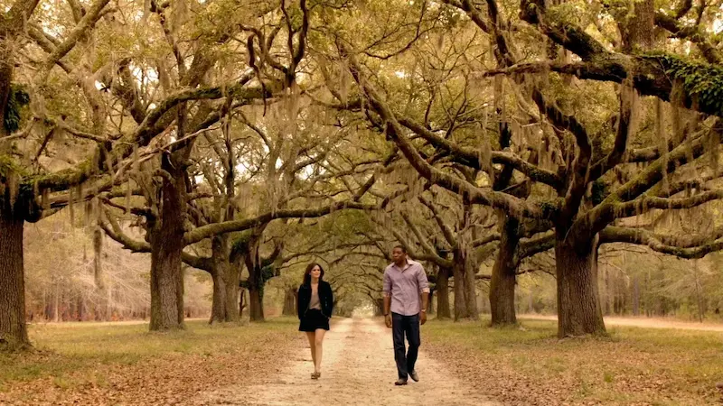 بعد از Ransom Canyon چه ببینیم؟ این 10 سریال شما را شگفتزده میکنند 14 سریال Hart of Dixie - فلاتو