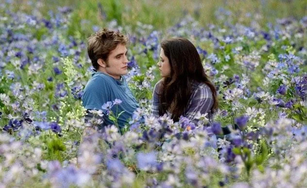 معرفی فیلم گرگومیش: خسوف؛ داستان، بازیگران و مشخصات کامل 4 Introduction The Twilight Saga Eclipse 3 e1790581094460