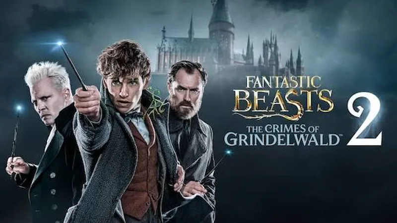 ترتیب دیدن فیلمهای Harry Potter و Fantastic Beasts؛ ترتیب داستانی و انتشار 11 جانوران شگفتانگیز: جنایات گریندلوالد - فلاتو