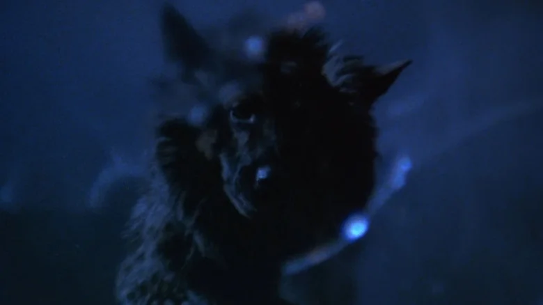 Introducing the 15 best werewolf movies in history 13
