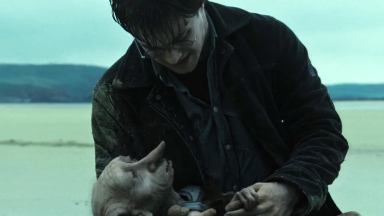 The challenge of adapting the controversial house elves subplot in the Harry Potter series 4