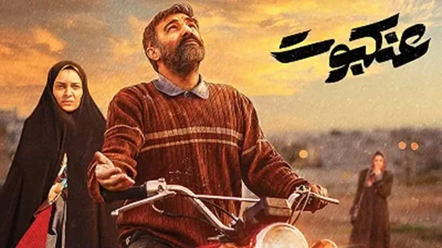 عنکبوت - فلاتو