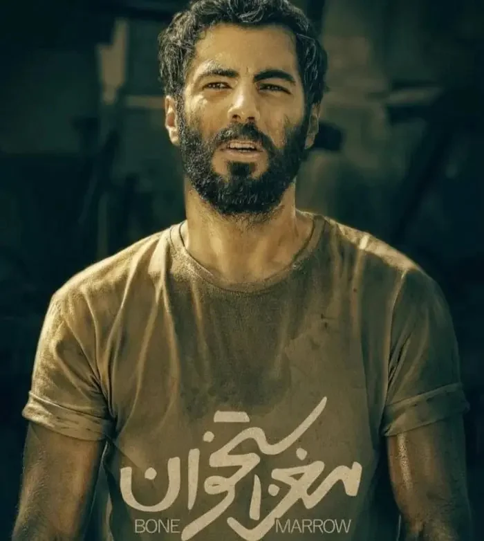 Biography of Navid Pourfaraj 4
