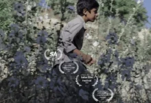 فیلم کوتاه «سوور» در چهار جشنواره بین‌المللی پذیرفته شد! - فلاتو
