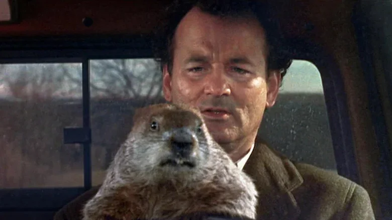 Groundhog Day – روز موش‌خرما - فلاتو