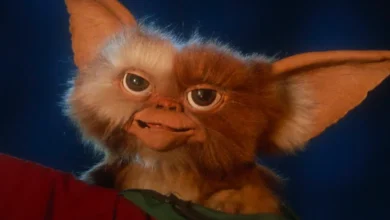 فیلم «Gremlins 3» در راه است، اما مهم‌ترین بخش آثار اصلی را ندارد - فلاتو