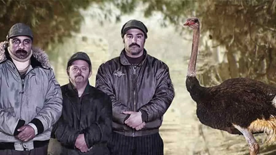 معرفی 37 تا از بهترین فیلمهای کمدی ایرانی 24 گینس - فلاتو