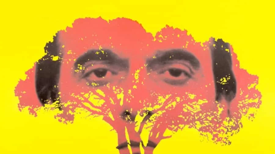 طعم گیلاس - فلاتو