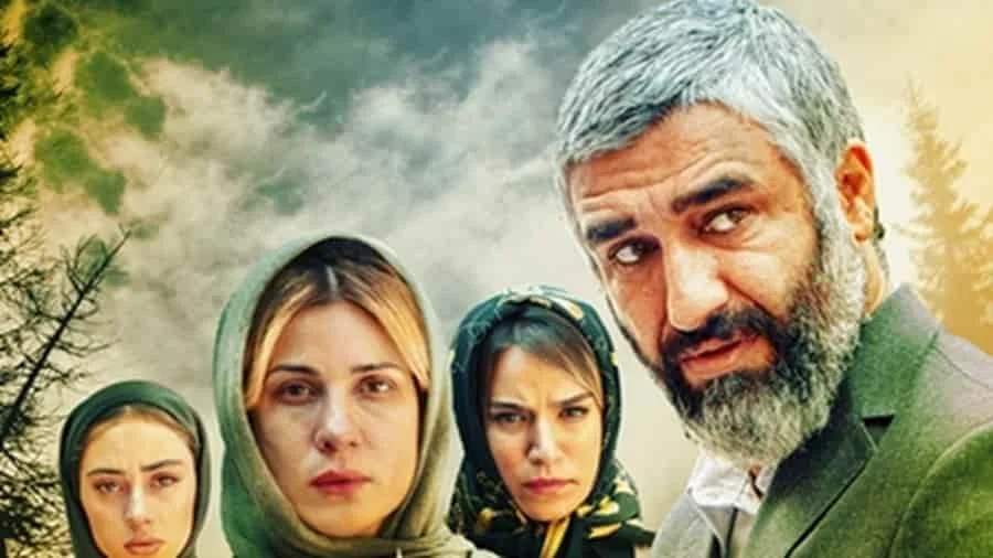 علف‌زار - فلاتو