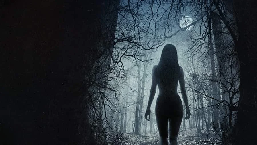 جادوگر - فلاتو