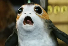 معرفی 14 موجود برتر دنیای «جنگ ستارگان» - فلاتو