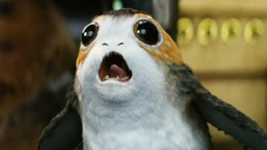 معرفی 14 موجود برتر دنیای «جنگ ستارگان» - فلاتو