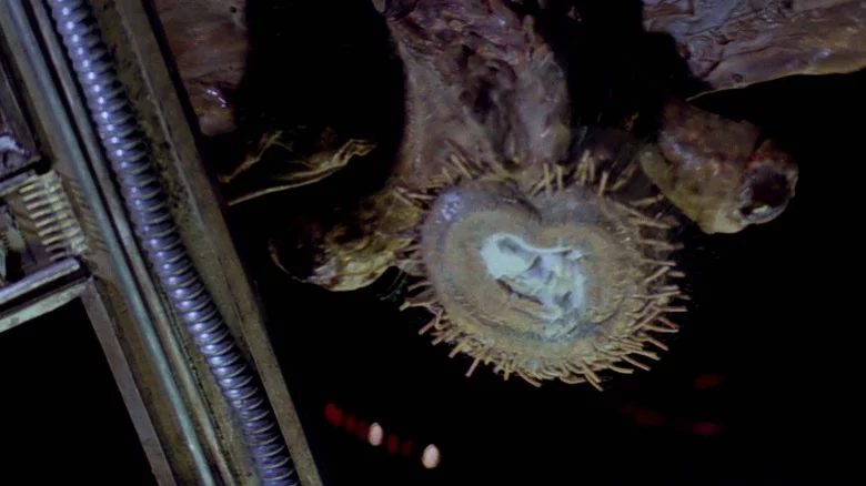 The 14 best Star Wars creatures 12