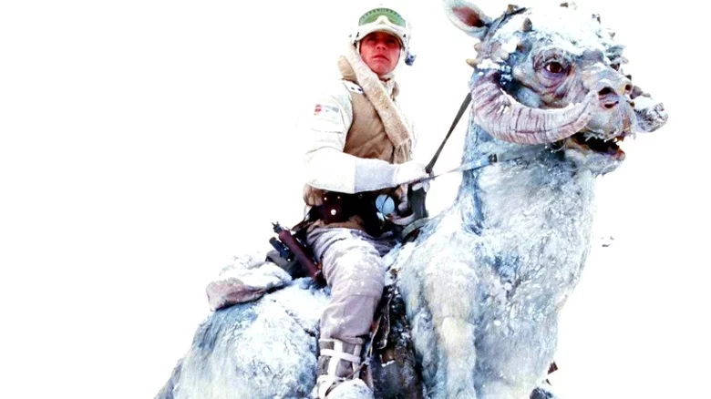 The 14 best Star Wars creatures 7