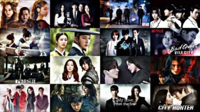 معرفی 20 تا از بهترین سریالهای عاشقانه اکشن کرهای 24 Introducing the best Korean action romance series 21