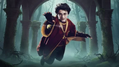 رتبهبندی تمام مسابقات کوییدیچ هری پاتر در هاگوارتز؛ از فراموششدنی تا افسانهای 25 رتبهبندی تمام مسابقات کوییدیچ هری پاتر در هاگوارتز؛ از فراموششدنی تا افسانهای - فلاتو