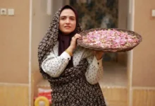 شش فیلم جدید از جمله «دختر ایران» مجوز اکران گرفتند 37 شش فیلم جدید از جمله «قایقسواری در تهران» و «نیمهشب» مجوز اکران گرفتند - فلاتو
