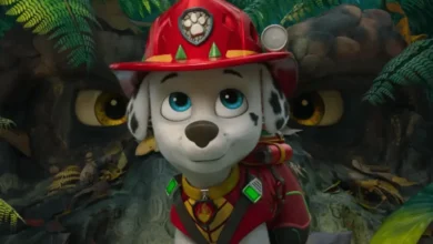 رکوردشکنی PAW Patrol: The Dino Movie در گیشه؛ بهترین افتتاحیه تاریخ این فرنچایز 7 رکوردشکنی PAW Patrol: The Dino Movie در گیشه؛ بهترین افتتاحیه تاریخ این فرنچایز - فلاتو