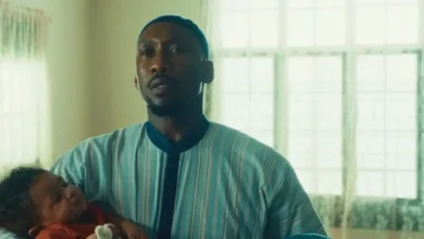داستان فیلم مادرت، مادرت، مادرت چیست؟ از حدیث اسلامی تا Blade مارول 4 داستان فیلم Your Mother Your Mother Your Mother چیست؟ از حدیث اسلامی تا Blade مارول - فلاتو