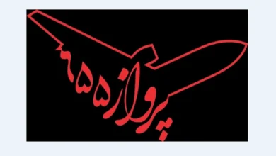 مسعود دهنمکی فیلم «پرواز 655» را با هوش مصنوعی ساخت 8 مسعود دهنمکی فیلم «پرواز 655» را با هوش مصنوعی ساخت - فلاتو